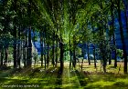 Meadow&#39;s Edge, Norway - 0962  85.7 x 120 cm - Under Acrylic Glass : 2-Geographic Indexes, Baden-Baden, Countries, Deutschland, Kreuzstraße, Land Baden-Württemberg, Lisa Fjord, Norwaw, Norway, Stavanger